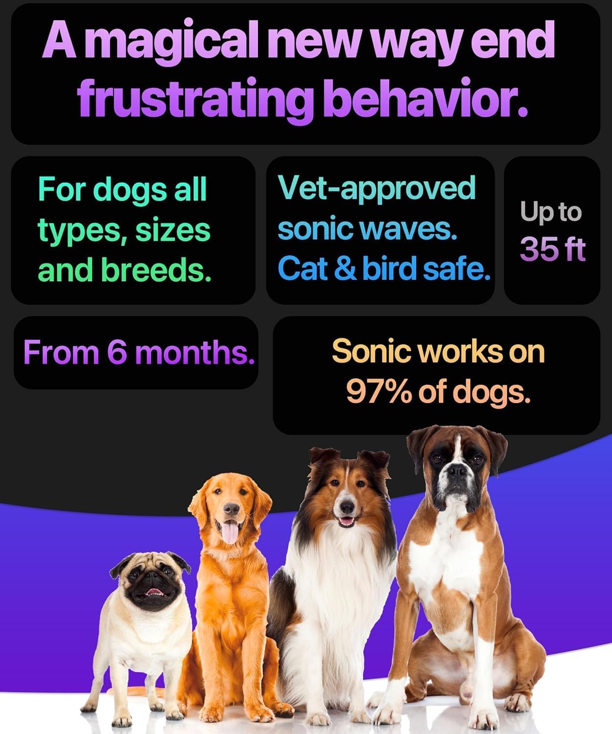Bark Deterrent And Training Device