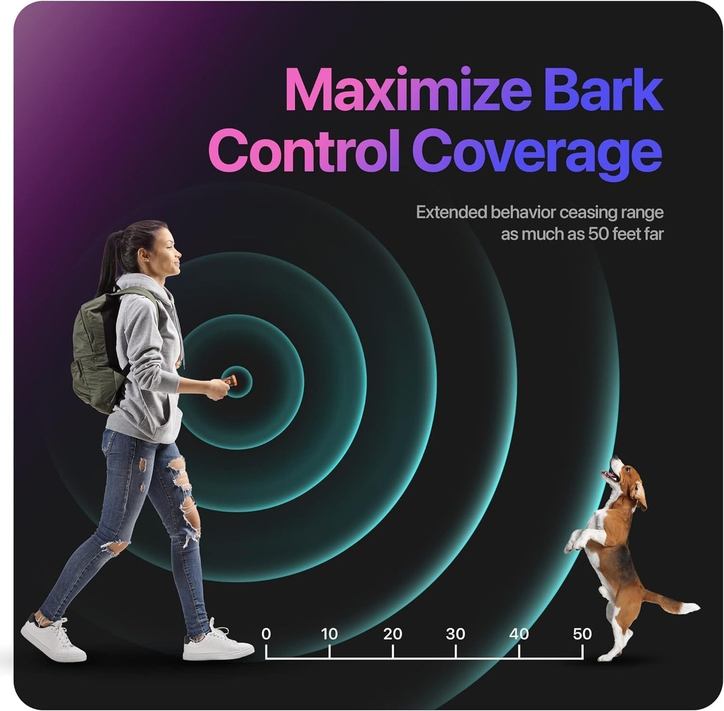 Bark Deterrent And Training Device