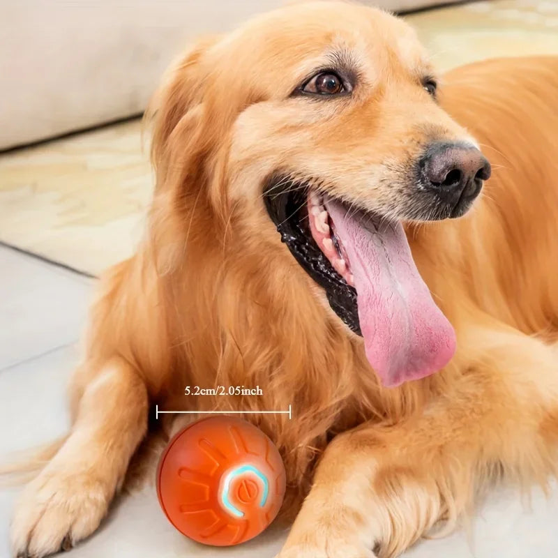 Interactive Dog Ball Toy 