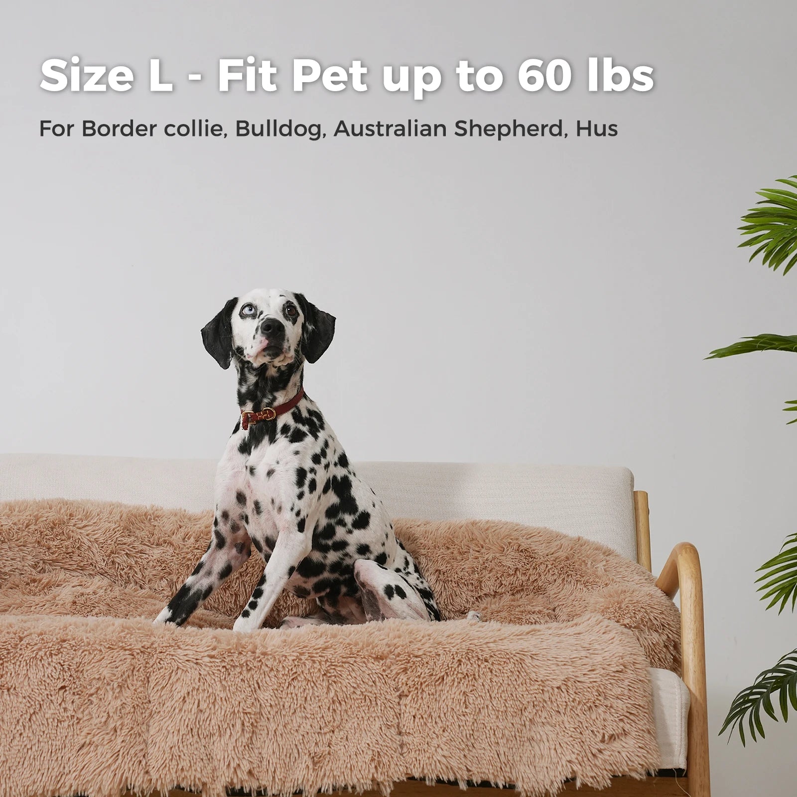 Premium Pet Bed Mat 