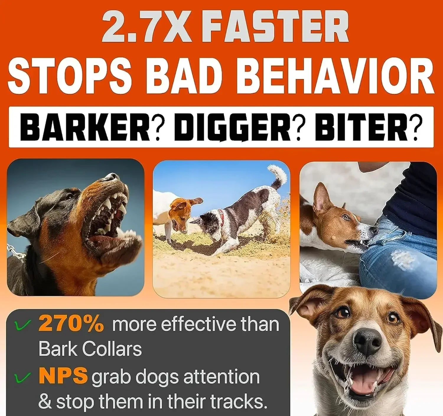 Bark Deterrent And Training Device